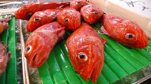 Tsukiji market