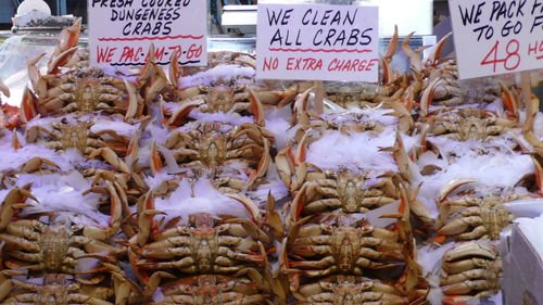 The abundance of salmons, crabs and lobsters…