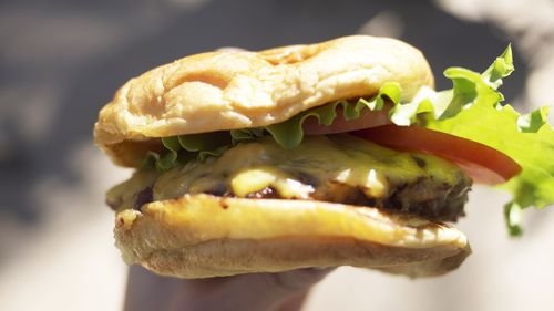 Shake Shack at Madison square park