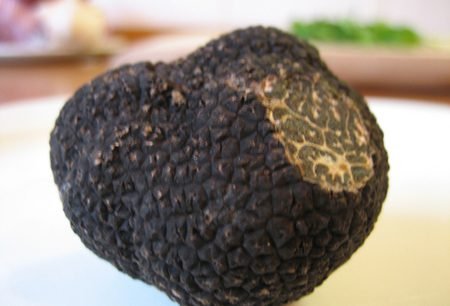 I cook risotto with black truffles