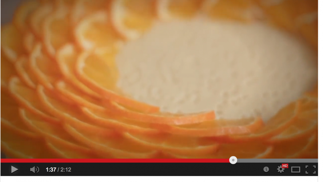 La tarte fine clémentine by Alex Croquet