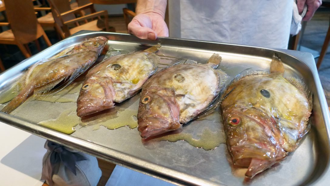 Live scallops and baby John Dory at Hedone