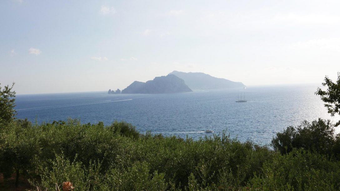 Le Peracciole: a farm with a view