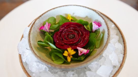 Noma in images