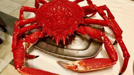 My ultimate fish and seafood restaurant list in Europe