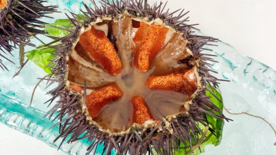 Twelve essential ingredients from the Spanish Mediterranean
