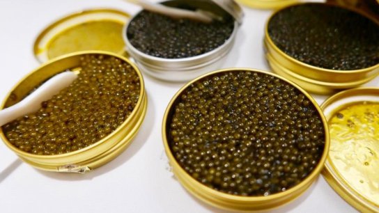Different shades of caviar