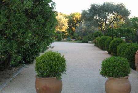 The Rough Diamond in Provence