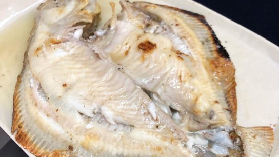 World’s best turbot