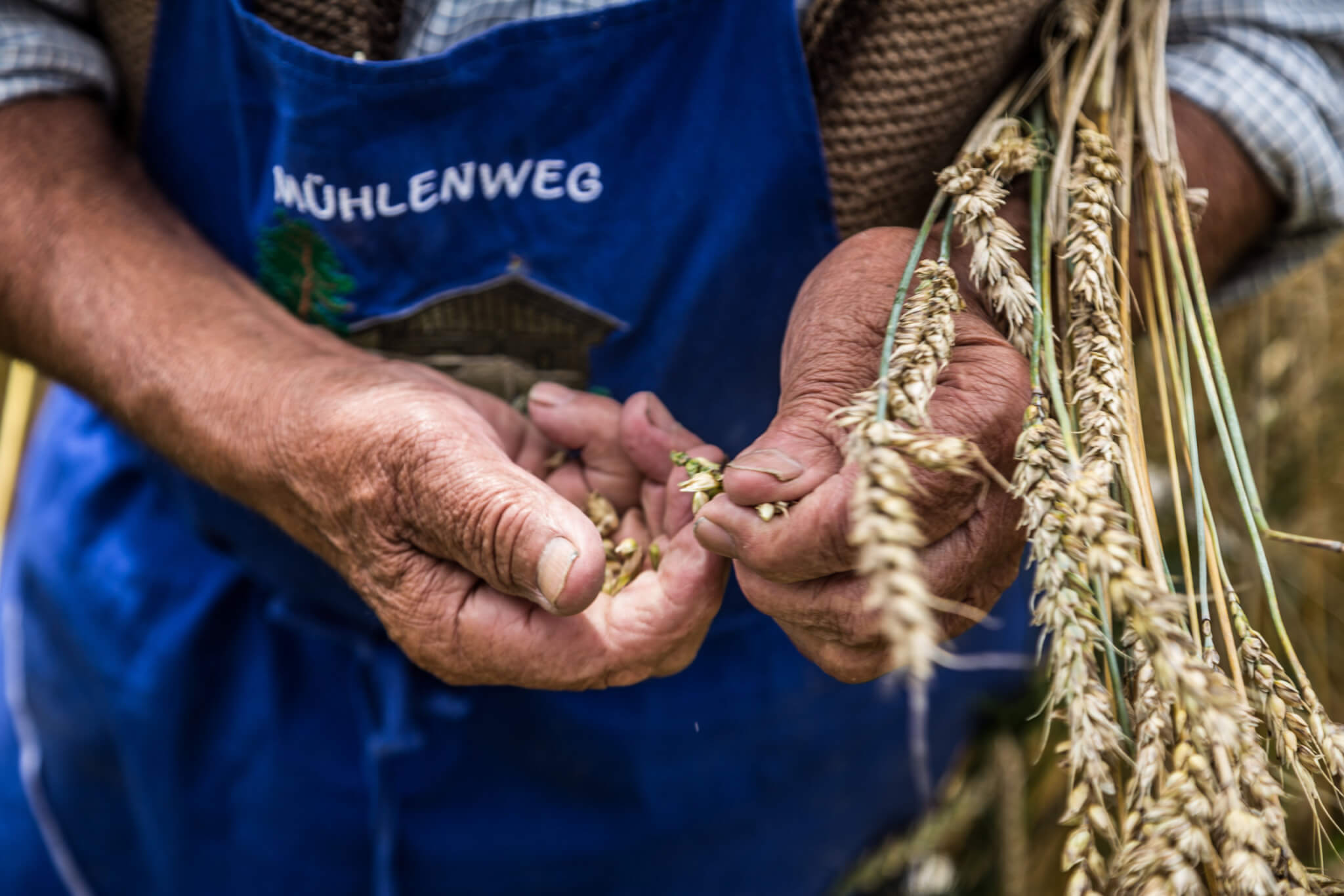 Why Did The Slow Food Movement Start