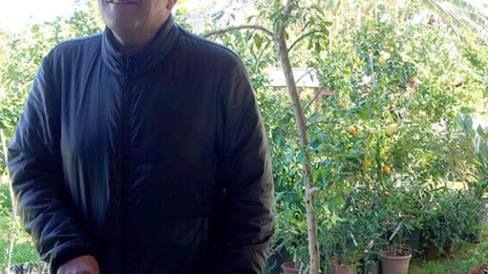Vicente Todolí: Art and Citrus – Re-imagining Citrus Growing in Valencia