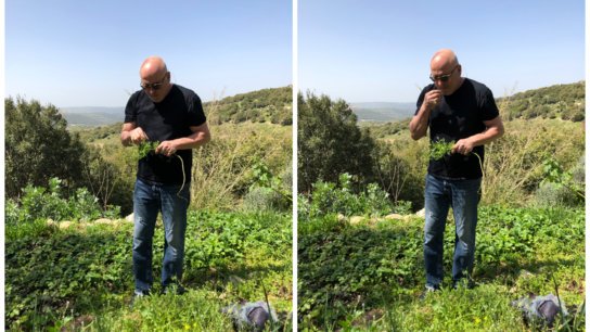 Erez Komarovsky: The Pioneer of Israel’s Artisan Baking and Cooking