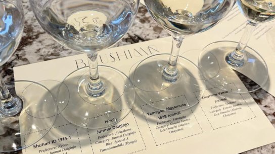 Sushi and sake pairing