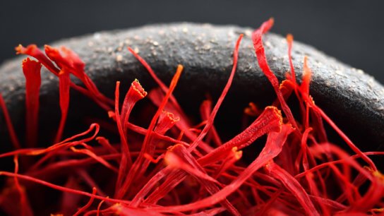 The  fascinating world of Khan Saffron