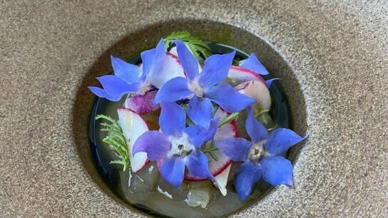 L’Enclume: Farm-to-Table Excellence, A Culinary Journey of Seasons