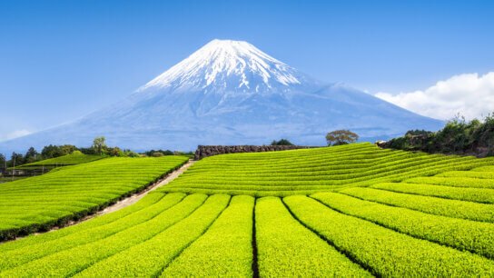 A closer look at Japan’s Geographical Indication (GI) label